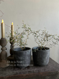 Beton pot rond 12.5 x 14 Antraciet