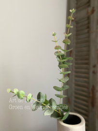 Eucalyptus Green 81 cm