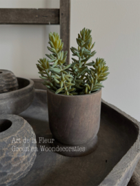Steker | Succulent 21 cm per stuk