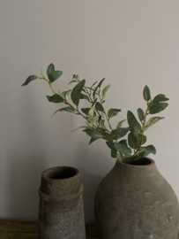 Eucalyptus 85 cm