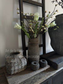 Samengesteld , XL Tulpen , Pimpernel , bloesem en Gagel  Wit