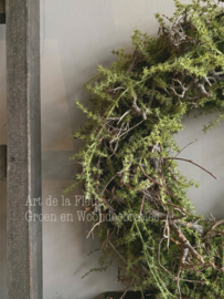 Krans met Kunst Asparagus ong 45 a 50 cm
