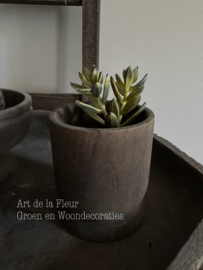 Steker | Sedum 13 cm