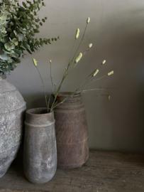 Pimpernel ong 80 cm White