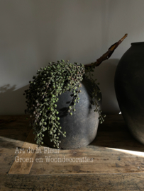 Dadeltak kunst groen ong 50 a 60 cm