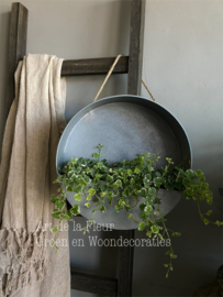 Muurplantenbak L 35 x 10 zink excl !! 3 Nepeta