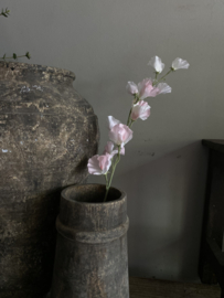 Sweetpea roze 71 cm