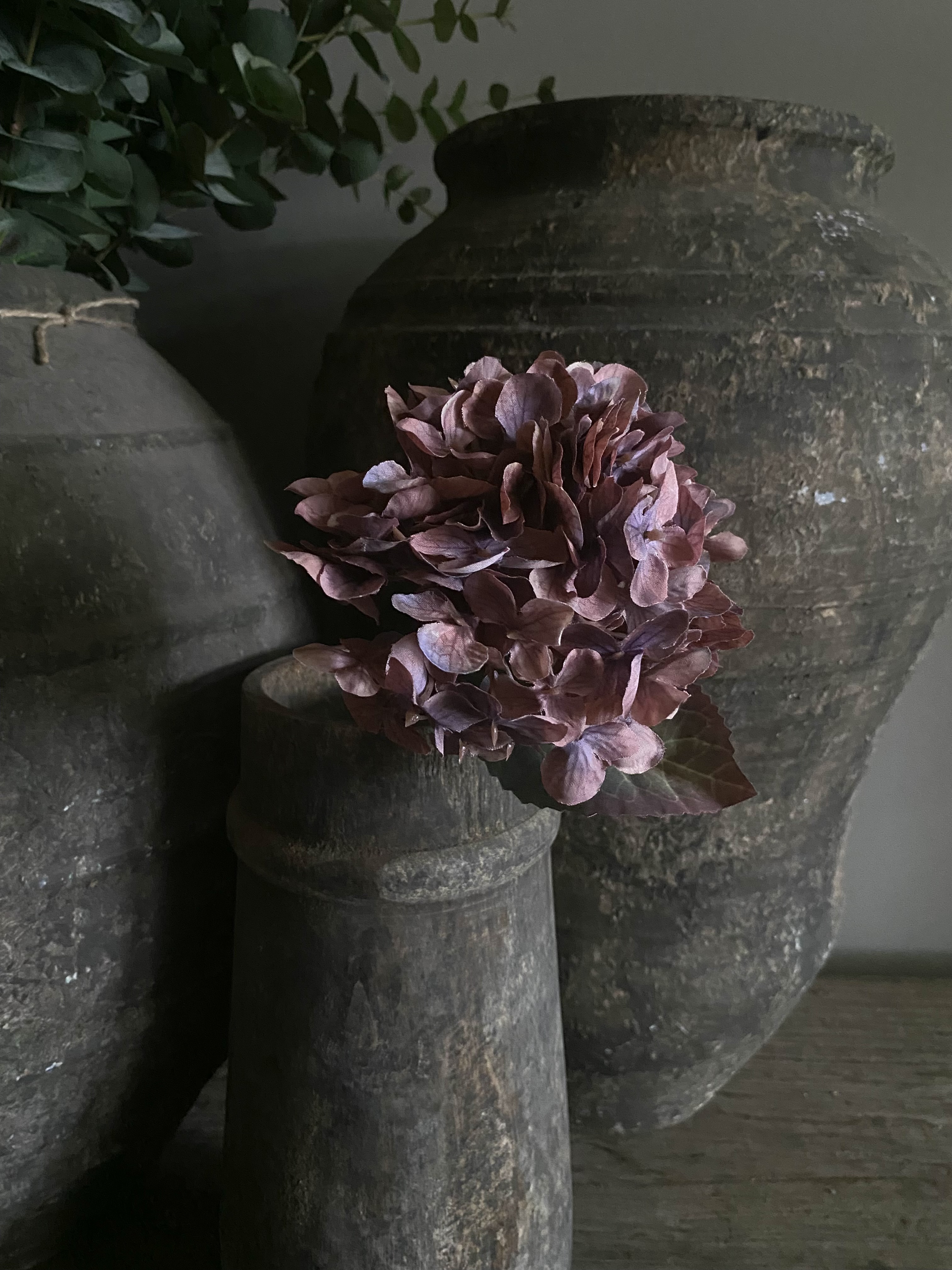 Hortensia 40 cm purper