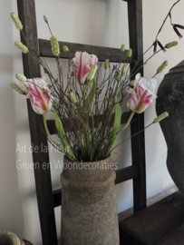 Samengesteld , XL Tulpen , Pimpernel en Gagel gemêleerd