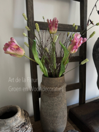 Samengesteld , XL Tulpen , Pimpernel en Gagel gevlamd