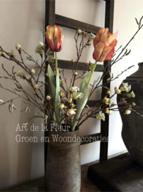 XL Papagaai Tulp Orange  Nieuw