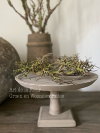 Houten plateau excl kunst Bonsai kransje