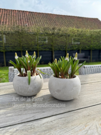 Setje van twee grijze potjes met witte druifjes