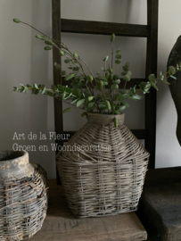 Basistakken 3 x Eucalyptus mini 1 x Groene Pimpernel