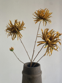 Mum spray brown | Cognac Spin Chrysant 91 cm