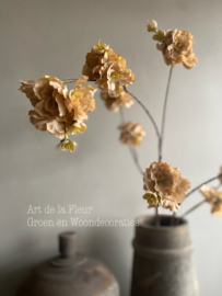 Bloesemtak 115 cm beige