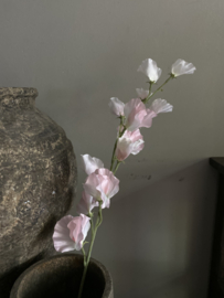 Sweetpea roze 71 cm
