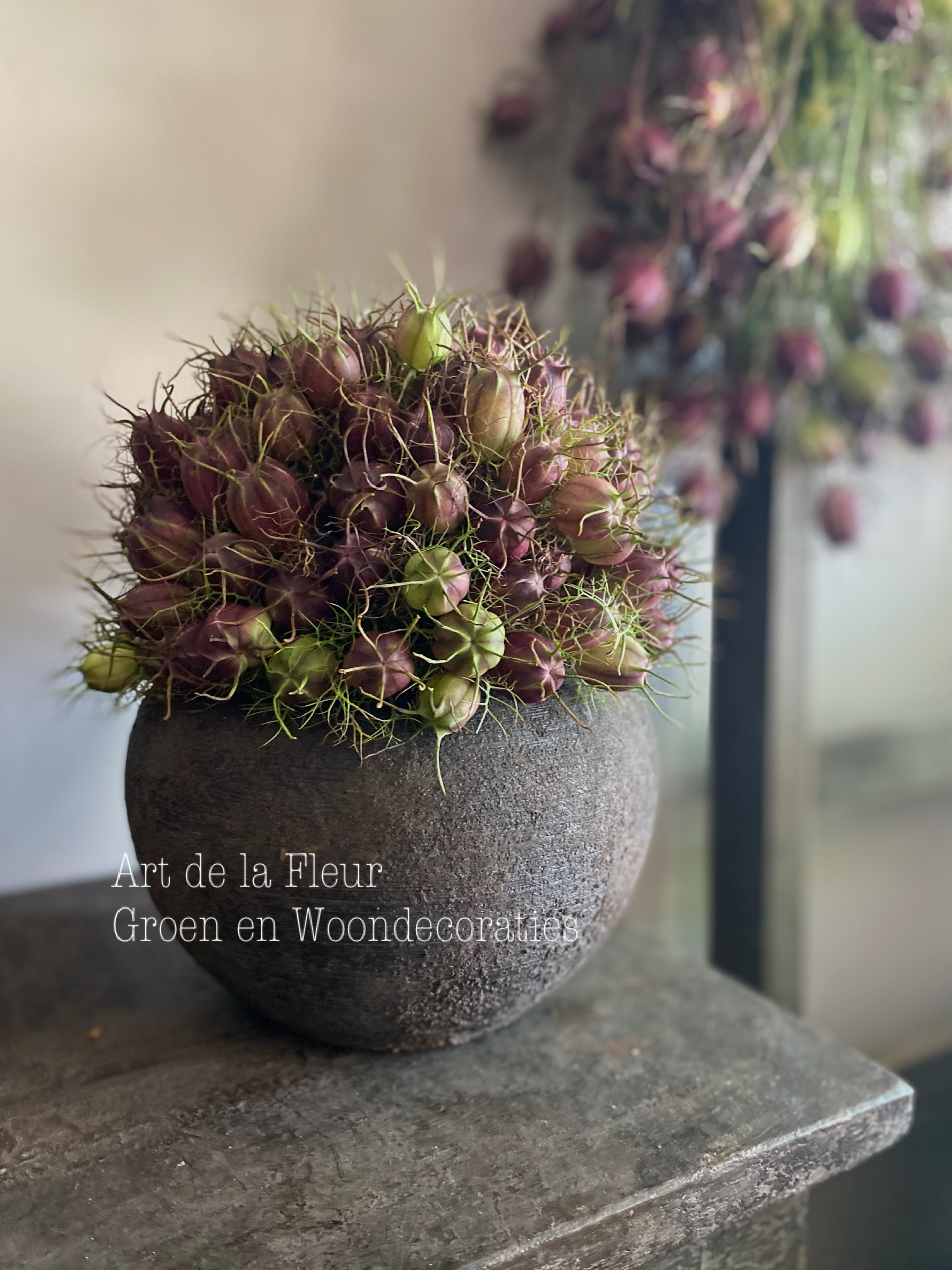 Nigella boeketje excl potje ! Droogt snel in