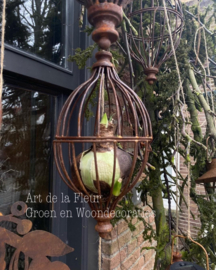 Roestige hanger incl mos en Amaryllisbol