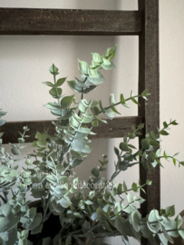 Steker | Eucalyptus grijs / groen 45 cm