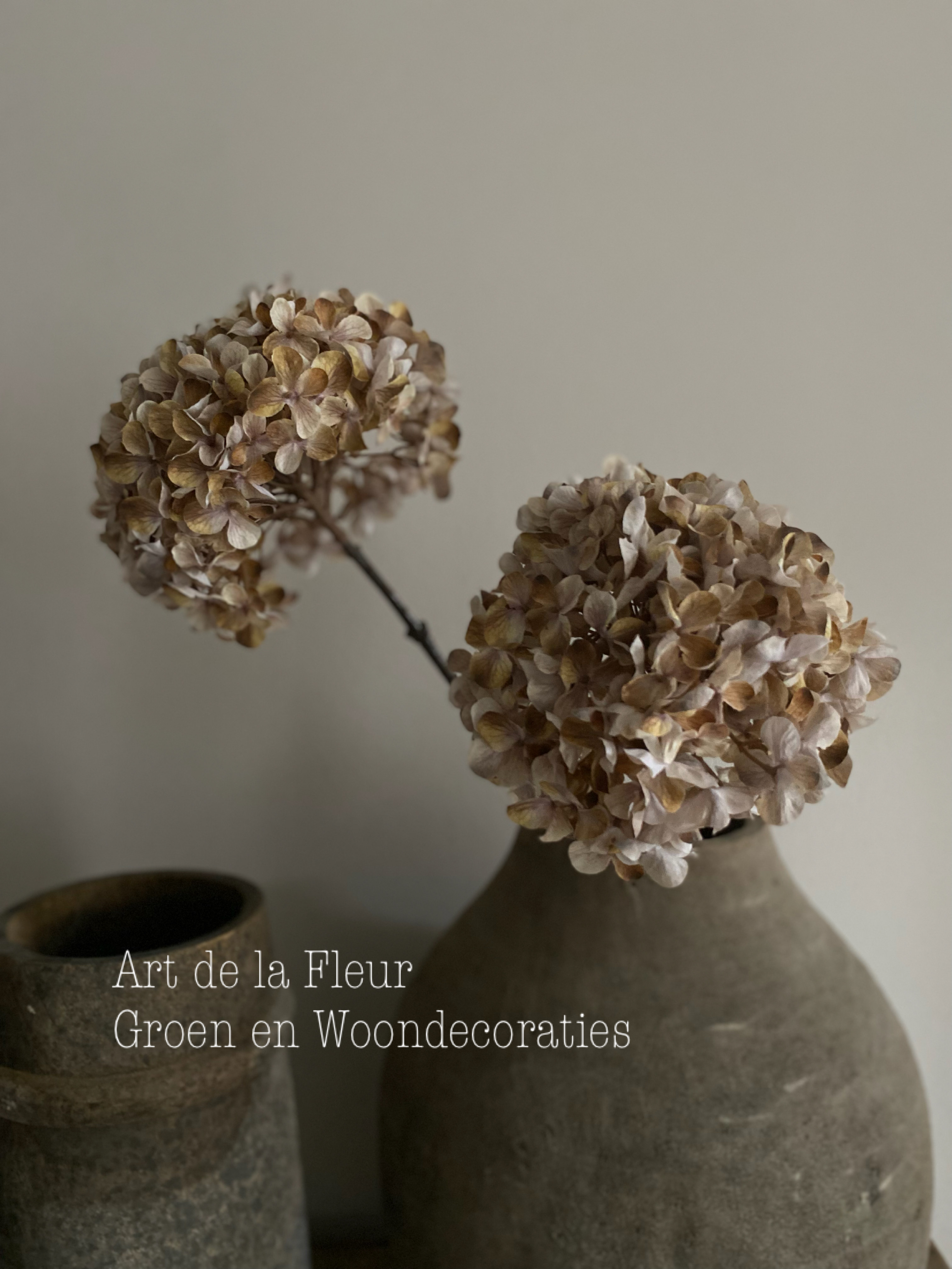 Hortensia light dried look 82 cm