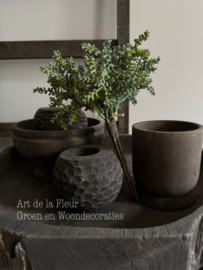 Steker | mini plant ( vetplant soortje ) 25 cm