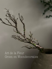 Kunst tak Twig spray 70 cm