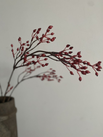 Rozenbottel tak 100 cm Rood