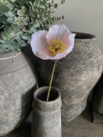 Klaproos soft pink 68 cm