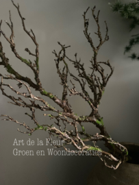 Kunst tak Twig spray xl 75 cm