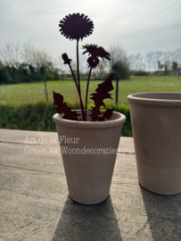 Roest tuinsteker paardebloem 38 cm