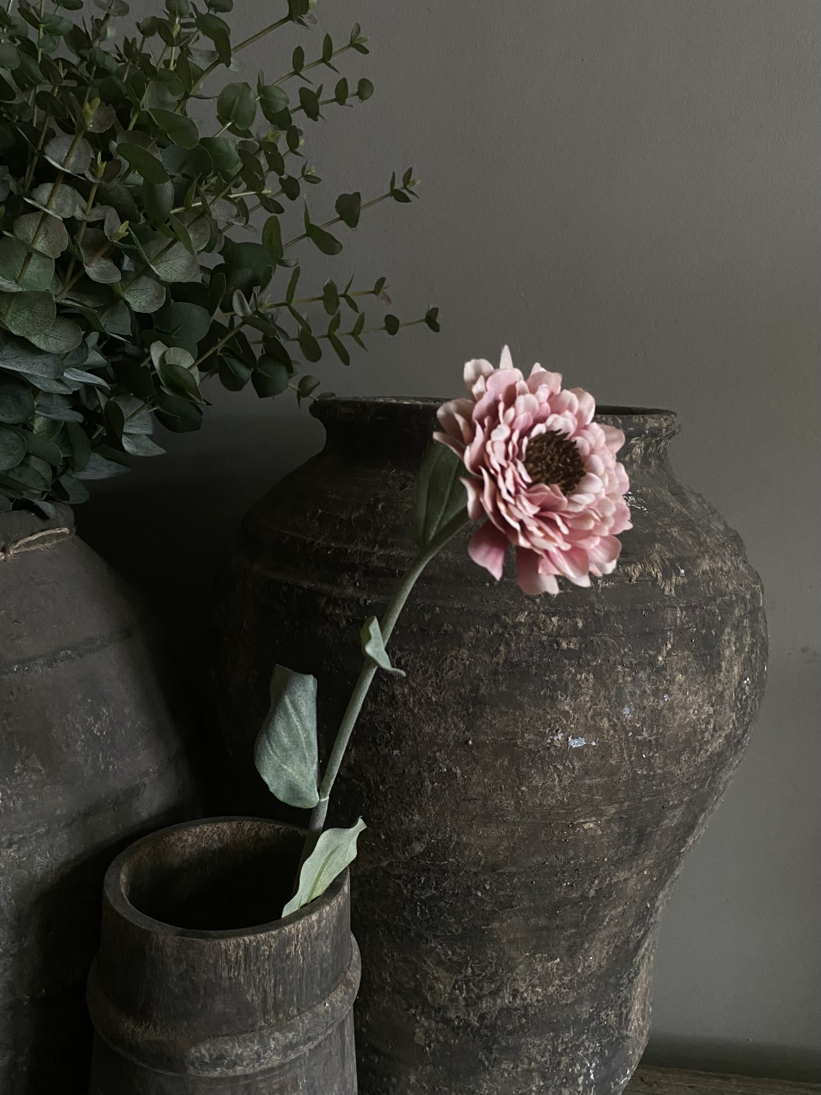 Zinnia roze 43 cm