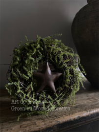 Berken kransje 30 cm met kunst Asparagus en ster