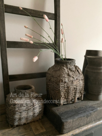 Pimpernel  86 cm Roze