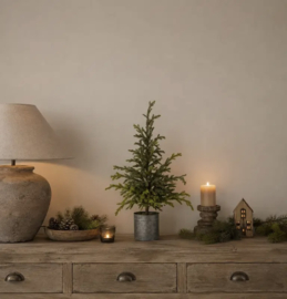 Picea Kerst boom in zinken pot 75 cm