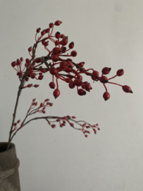 Rozenbottel tak 100 cm Rood