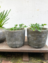 Beton pot Olive 10.5 x 11. 5 