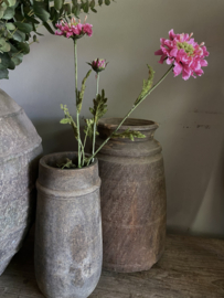 Scabiosa  66 cm