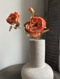 Fel gekleurde roos 60 cm