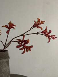 Kangoeroe pootje steel donker Oranje  ruig  71 cm