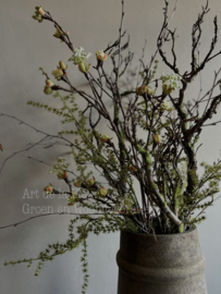 Kunst boeket Birch takken, bloesem , Asparagus en Berk excl vaas