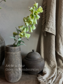 Green Fritillaria prijs per stuk