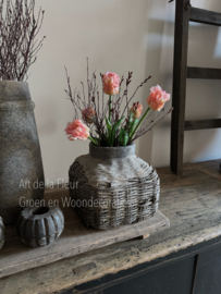 Parkiet Tulp ( per steel geprijsd ) incl takjes Gagel