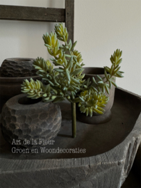 Steker | Succulent 21 cm per stuk