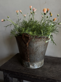 Oud uitziende emmer  K 26 x 21