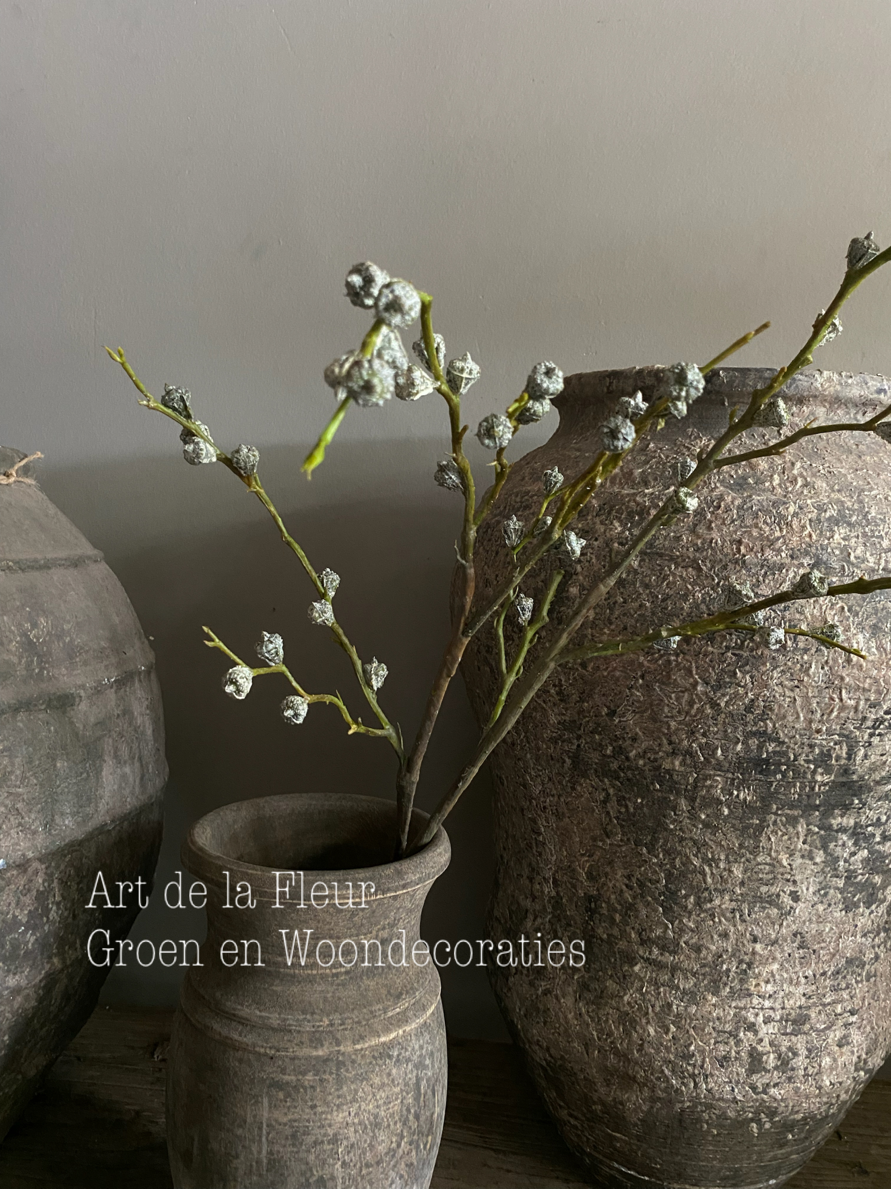 Eucalyptus tak Berry 106 cm 5 vertakkingen