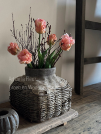 Parkiet Tulp ( per steel geprijsd ) incl takjes Gagel