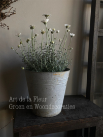 Zinken pot nieuw 25 x 25