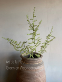 Wilde Asparagus 73 cm Kunst 3 vertakkingen groen