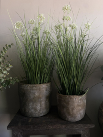 Kunstplant met lace flower 76 cm